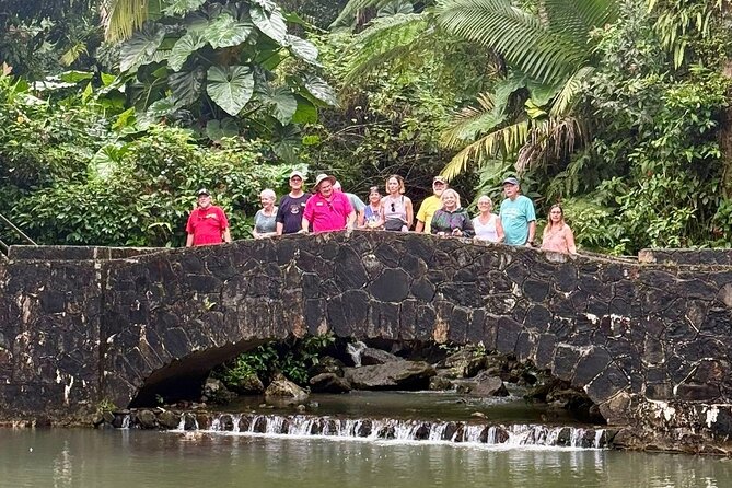 Discover El Yunque National Park: Half-Day Rainforest Tour - Transportation: convenient, but vehicle comfort is not guaranteed