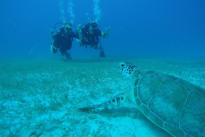 Discover Fajardo: 2-Tank Scuba Diving - Key points to know before booking