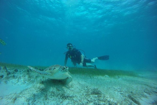 Discover Fajardo: 2-Tank Scuba Diving - Getting fitted with the included equipment