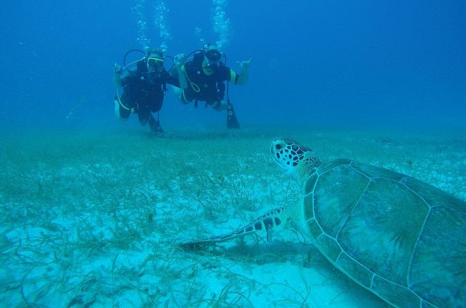 Discover Fajardo: 2-Tank Scuba Diving - The second session adds reef exploration