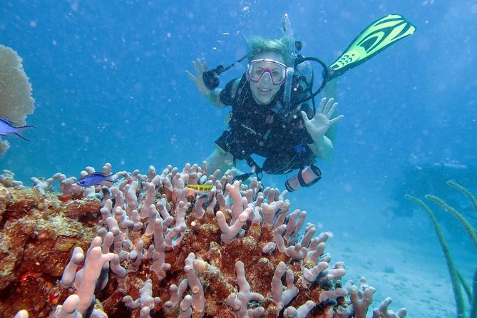 Discover Fajardo: 2-Tank Scuba Diving - The classroom lesson comes before the boat