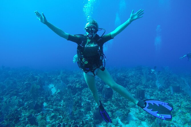 Discover Scuba Diving - Starting at Rincon Diving & Snorkeling