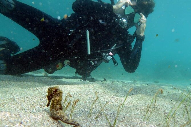 Discover Scuba Diving in San Juan - A safety lesson before the water
