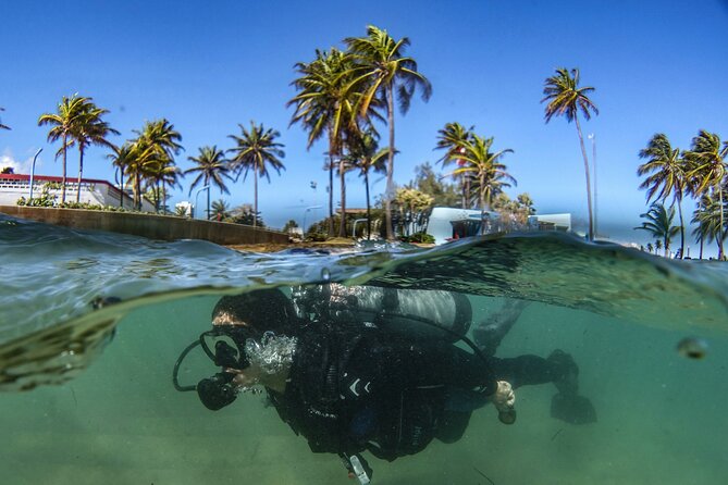 Discover Scuba Diving in San Juan - What makes the marine park special