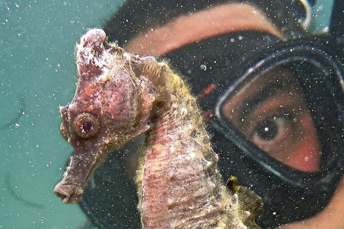 Discover Scuba Diving in San Juan - The instructors make the difference
