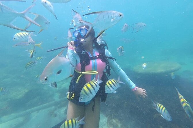 Discover Scuba Diving in San Juan: Perfect for First-Time Divers - Meeting at the Caribe Hilton Beach Entrance