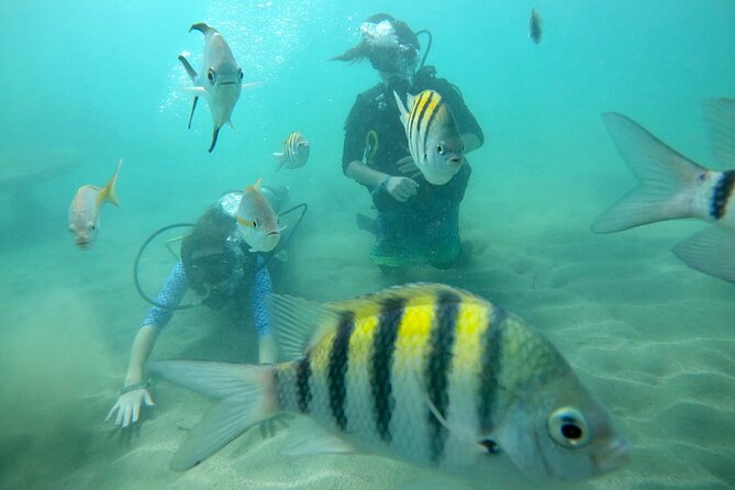 Discover Scuba Diving in San Juan: Perfect for First-Time Divers - Who Should Book This Experience?