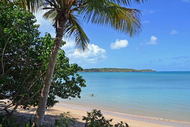 Discover Scuba Diving in San Juan: Perfect for First-Time Divers - Timing, Cancellations, and Weather