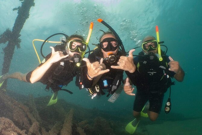 Discover Scuba Diving in San Juan - The 45-minute underwater route