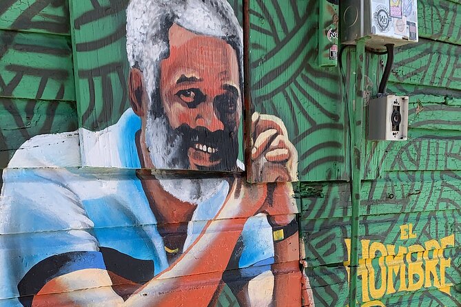 Discovering Puerto Rico: Lifestyle, Art, and Cultural Tour - Santurce: three or four blocks of public art