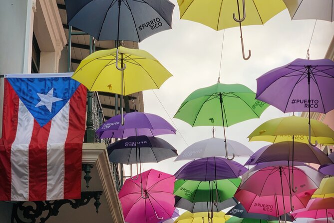 Discovering Puerto Rico: Lifestyle, Art, and Cultural Tour - Comfort, timing, and what to bring