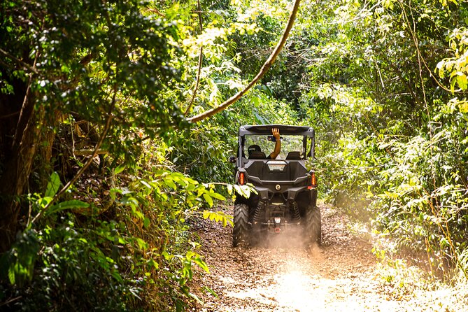 Dos Mares and Rainforest UTV Adventure Tour in Fajardo - Guides make a big difference on a one-hour tour