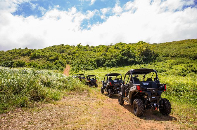 Dos Mares and Rainforest UTV Adventure Tour in Fajardo - Who will enjoy this most?