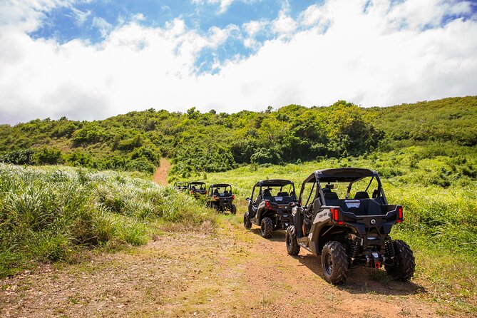 Dos Mares and Rainforest UTV Adventure Tour in Fajardo - Laguna Grande gives the first taste of Fajardo