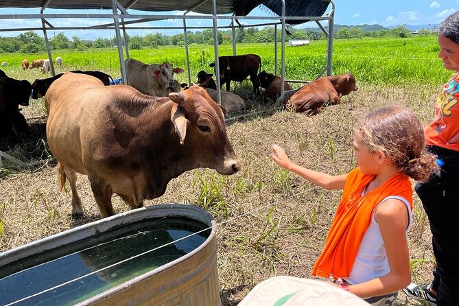 Eco Friendly Farming Tour to Explore Dorado's Most Beautiful Farm - Five things to know before you go
