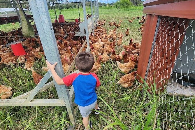 Eco Friendly Farming Tour to Explore Dorado's Most Beautiful Farm - A working farm, not a staged attraction