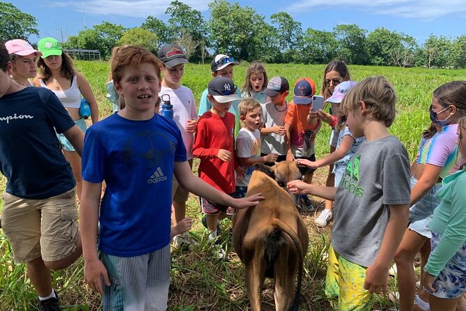 Eco Friendly Farming Tour to Explore Dorado's Most Beautiful Farm - Five farming systems, five different lessons