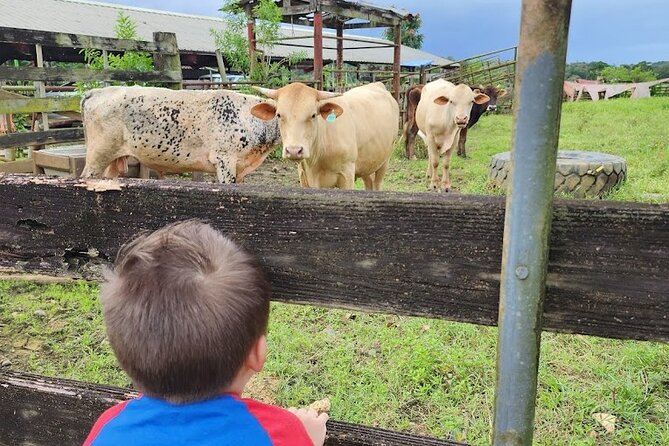 Eco Friendly Farming Tour to Explore Dorado's Most Beautiful Farm - Farm-store food is a real part of the experience