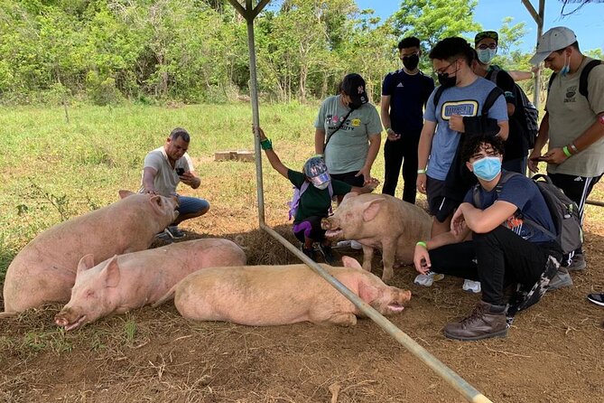 Eco Friendly Farming Tour to Explore Dorado's Most Beautiful Farm - Gelato flavors worth saving room for