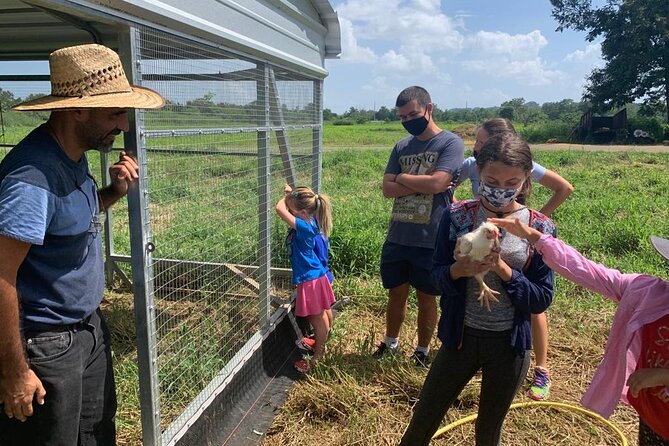 Eco Friendly Farming Tour to Explore Dorado's Most Beautiful Farm - What to wear for Puerto Rico farm conditions