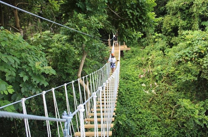 El Yunque Adventure Trail - Rappelling, the Tarzan Swing, and Forest Surfing