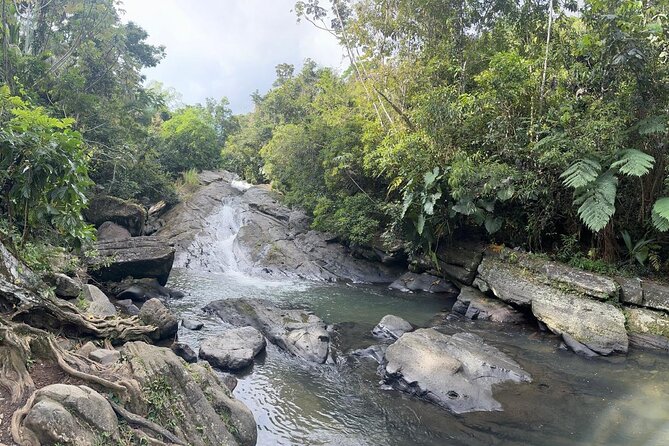 El Yunque & Beach Tour: Waterslide, Waterfall, Food, & Photos - What this Fajardo adventure is really like