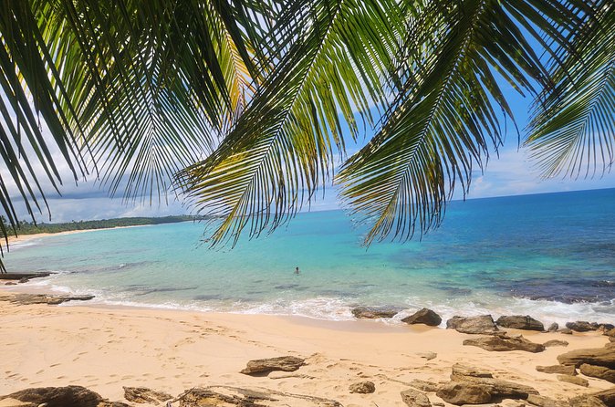El Yunque & Beach Tour: Waterslide, Waterfall, Food, & Photos - Fitness, weather, and what to pack
