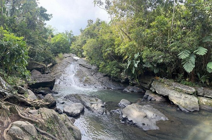 El Yunque & Beach Tour: Waterslide, Waterfall, Food, & Photos - Who will enjoy this tour most