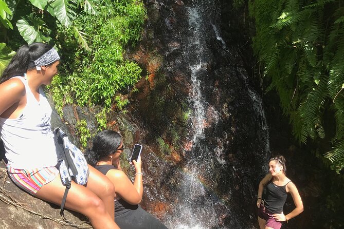 El Yunque Hike Adventure to Las Tinajas Waterfall from Fajardo - Following the river through El Yunque