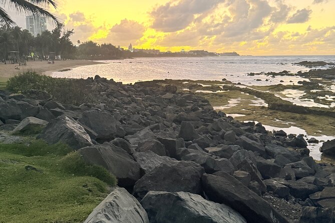 El Yunque Hike, Waterslide & Luquillo Kiosks Food with Transport - What the transport and small group add