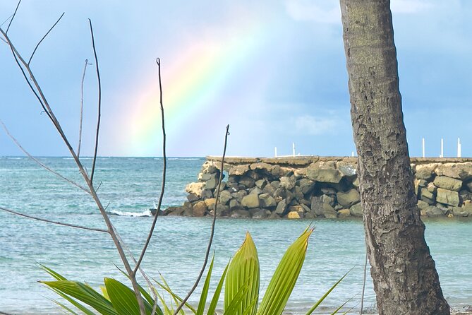 El Yunque Hike, Waterslide & Luquillo Kiosks Food with Transport - What the price includes, and what it does not