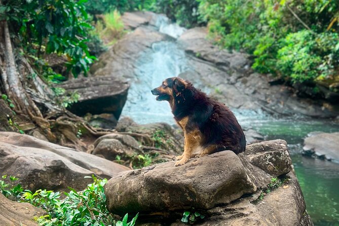 El Yunque Hike, Waterslide & Luquillo Kiosks Food with Transport - Las Pailas: natural slides near El Yunque