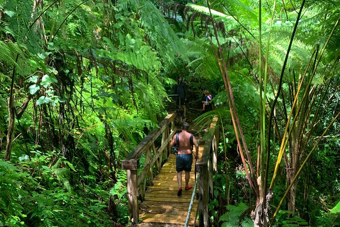 El Yunque National Forest and Luquillo Beach Combo - Key Points to Know Before You Book