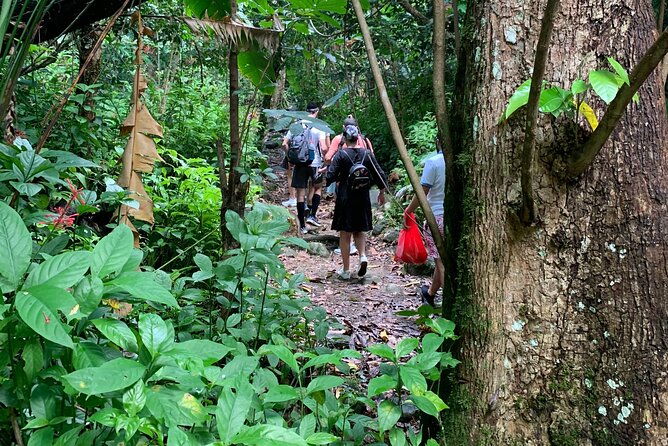 El Yunque National Forest and Luquillo Beach Combo - Yokahú Tower: A Big View in Twenty Minutes