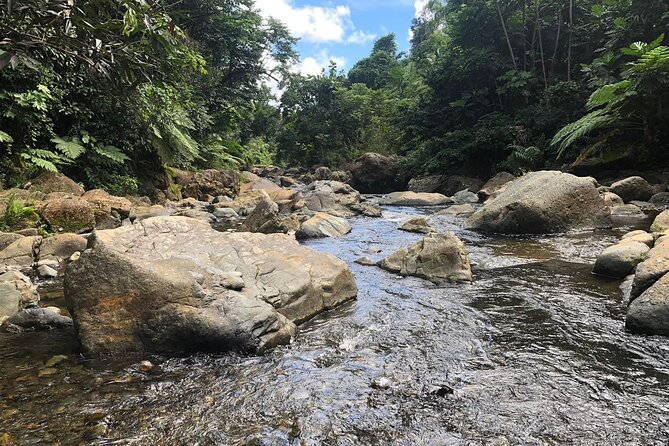 El Yunque National Forest and Luquillo Beach Combo - Luquillo Beach and the Kiosks: Food, Sand, and Free Time