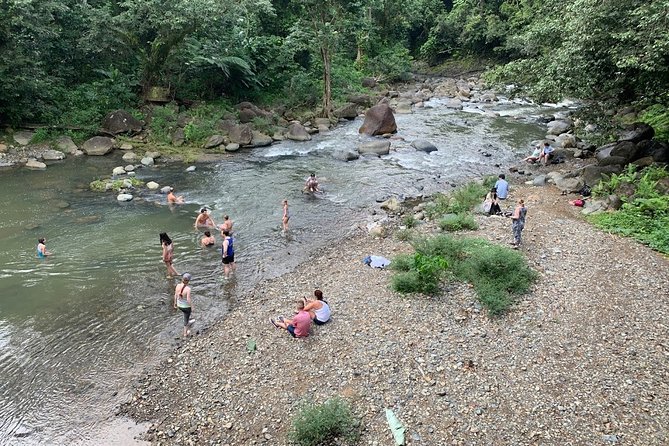 El Yunque National Forest and Luquillo Beach Combo - Is $79 a Fair Price?