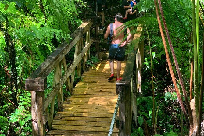 El Yunque National Forest and Luquillo Beach Tour - Puente Roto and the walk to the river
