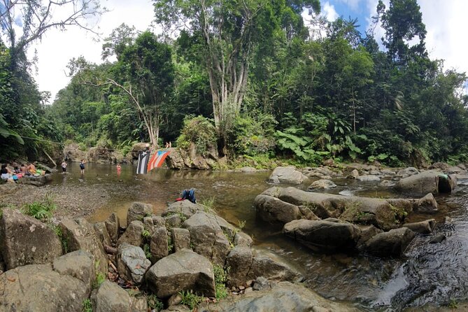 El Yunque National Forest and Luquillo Beach Tour - Who will enjoy this tour most