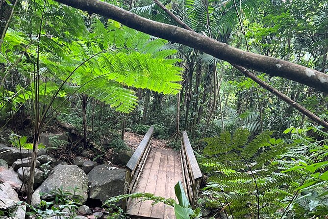 El Yunque National Forest Guided Tour with Transport - Key points to know before booking