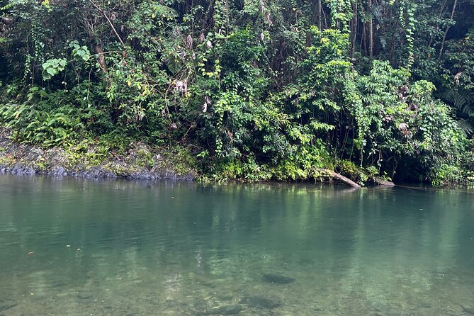 El Yunque National Forest Guided Tour with Transport - Stop 2: Freshwater at Mameyes II