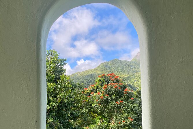 El Yunque National Forest Guided Tour with Transport - Lunch, local food, and souvenir shopping