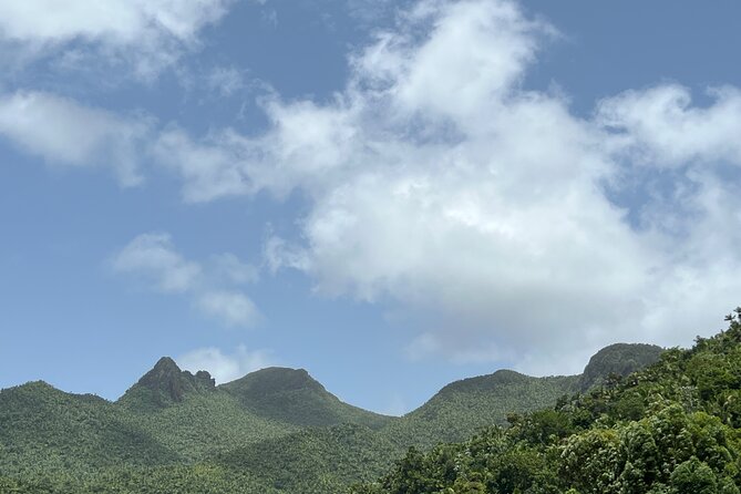 El Yunque National Forest Guided Tour with Transport - What $80 includes, and where the value lies