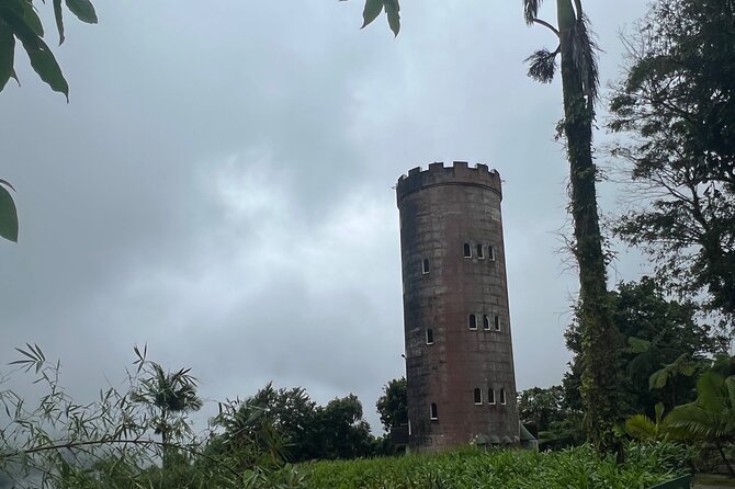 El Yunque National Forest Guided Tour with Transport - Fitness, weather, and what to bring