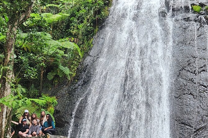 El Yunque National Rainforest and Luquillo Beach Tour - A well-shaped day from San Juan