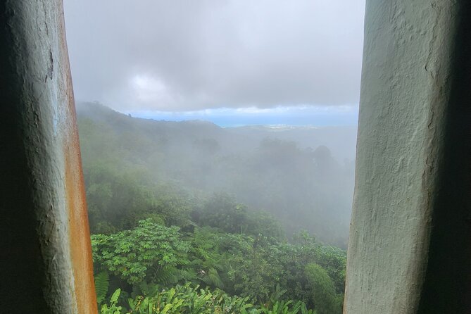 El Yunque National Rainforest and Luquillo Beach Tour - Is $79 a fair price?