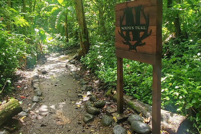 El Yunque National Rainforest and Luquillo Beach Tour - The guides are central to the experience