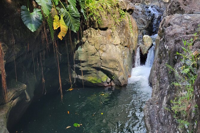 El Yunque Rainforest and Luquillo Kiosk Day Trip - Meeting in San Juan and heading east