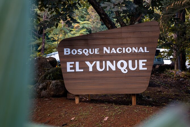 El Yunque Rainforest EZ-going Bus Tour (wheelchair accessible) - Key points to know before you book