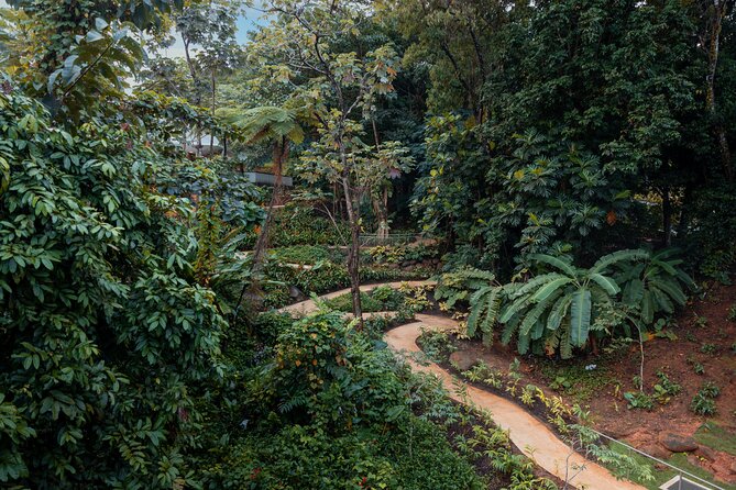 El Yunque Rainforest EZ-going Bus Tour (wheelchair accessible) - Why this tour works for an easy rainforest day