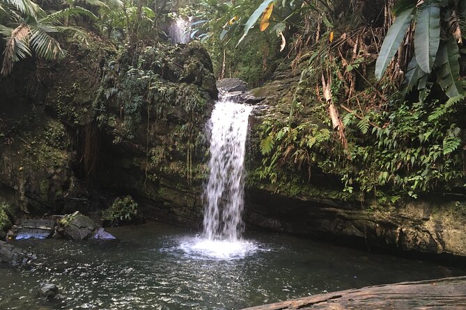 El Yunque Rainforest EZ-going Bus Tour (wheelchair accessible) - Yokahu Tower adds height and history